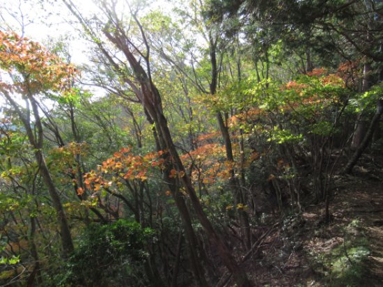 画像47